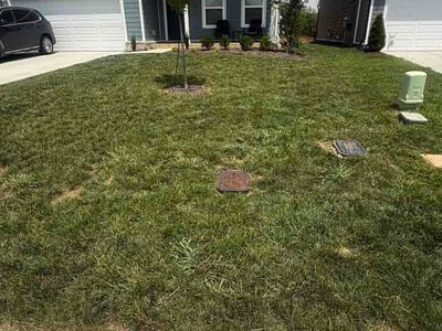 Lawn Care service in White House, 37188