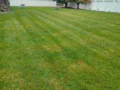 Lawn Care service in Rockville, 20850