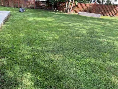 Lawn Care service in Centreville, 20120