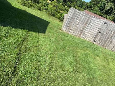 Lawn Care service in Cleveland, 37311