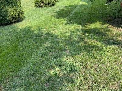 Lawn Care service in Charles Town, 25414
