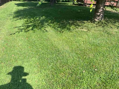 Lawn Care service in O Fallon, 62269