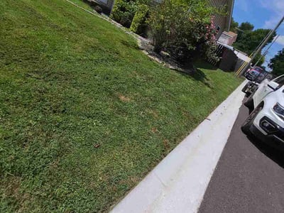 Lawn Care service in O Fallon, 62269