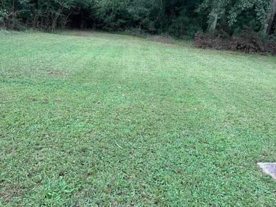 Lawn Care service in Williamston, 29697