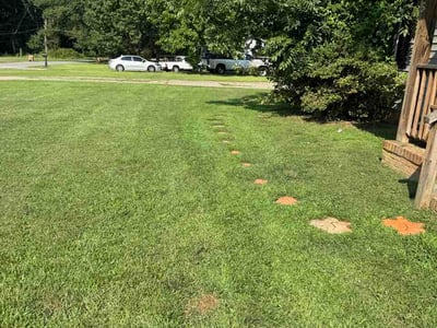 Lawn Care service in Williamston, 29697