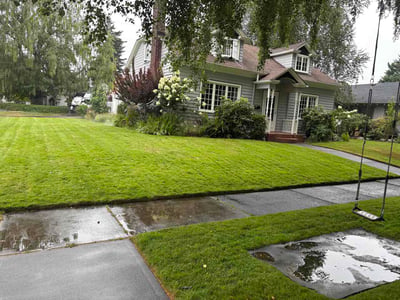 Lawn Care service in Graham, 98338