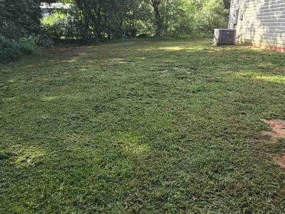 Lawn Care service in Williamston, 29697