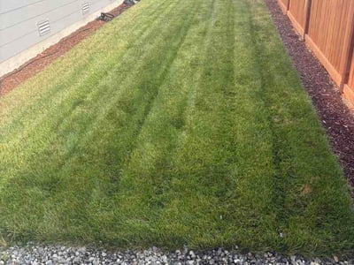 Lawn Care service in Graham, 98338