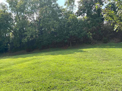 Lawn Care service in Mount Juliet, 37122
