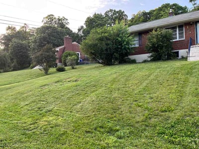 Lawn Care service in Waynesboro, 22980