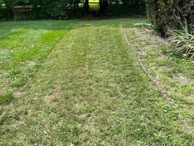 Lawn Care service in Waldorf, 20603