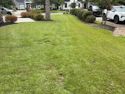 Lawn Care service in Little River, 29566