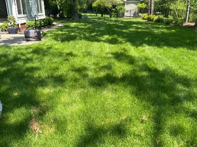 Lawn Care service in Algonac, 48001