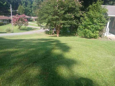 Lawn Care service in London, 40741