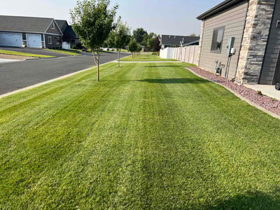 Lawn Care service in ,
