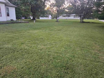 Lawn Care service in Edwardsville, 62025
