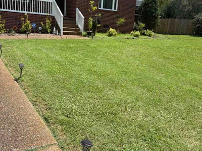 Lawn Care service in White Bluff, 37187