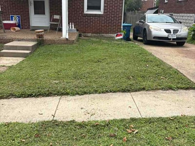 Lawn Care service in O Fallon, 63366