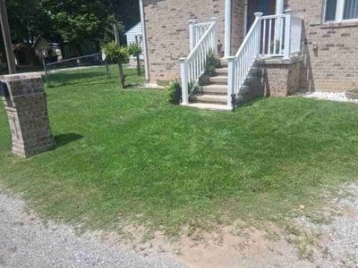 Lawn Care service in Edwardsville, 62025
