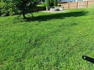 Lawn Care service in Cookeville, 38501