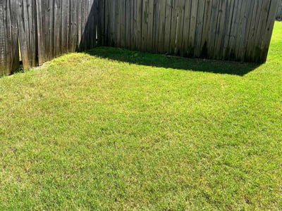 Lawn Care service in Arlington, 38002