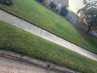 Lawn Care service in Arlington, 38002