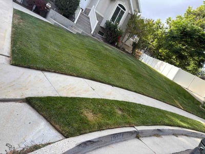 Lawn Care service in Riverton, 84065