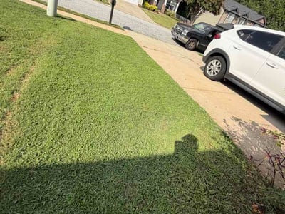 Lawn Care service in Pelzer, 29669