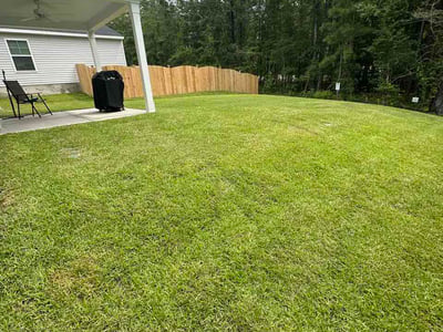 Lawn Care service in Lugoff, 29078