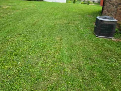 Lawn Care service in Granite City, 62040