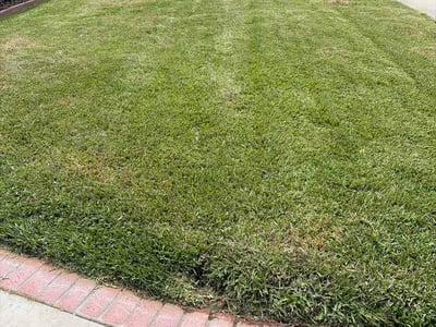 Lawn Care service in Lake Elsinore, 92530