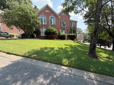 Lawn Care service in Burns, 37029