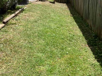 Lawn Care service in Leesville, 29070