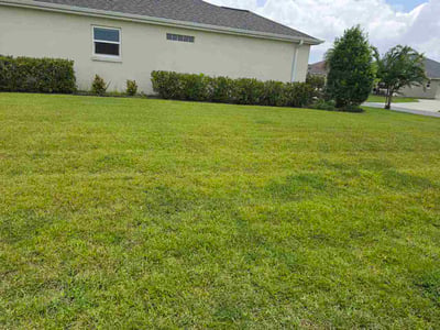 Lawn Care service in The Villages, 32162