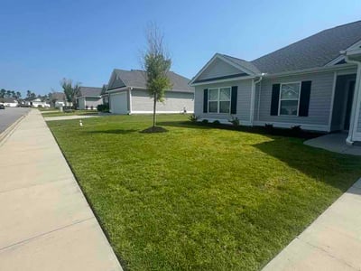 Lawn Care service in Conway, 29526