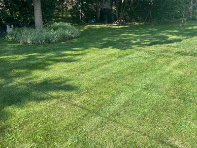 Lawn Care service in Latrobe, 15650