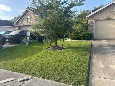 Lawn Care service in Calexico, 92231
