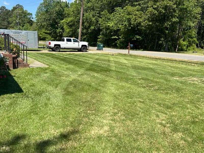 Lawn Care service in Calexico, 92231
