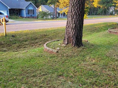 Lawn Care service in Truckee, 96161