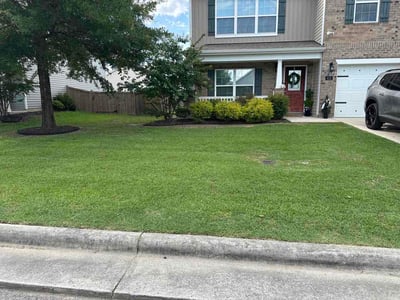 Lawn Care service in New Bern, 28560