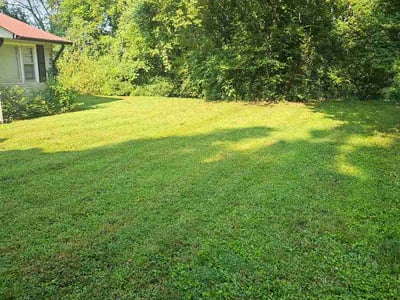 Lawn Care service in Columbia, 38401