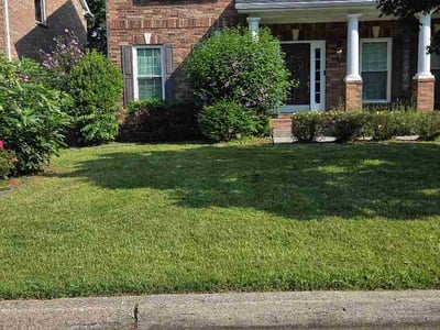 Lawn Care service in Brentwood, 37027