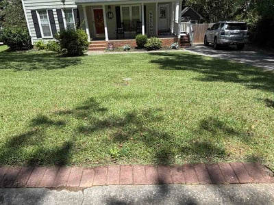 Lawn Care service in Columbia, 29201