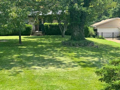 Lawn Care service in Columbia, 38401