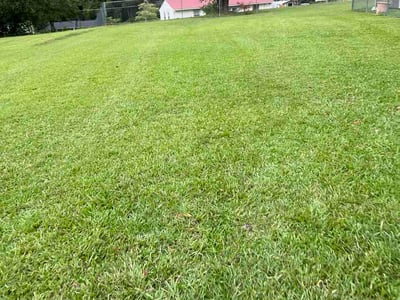 Lawn Care service in Sanford, 04073