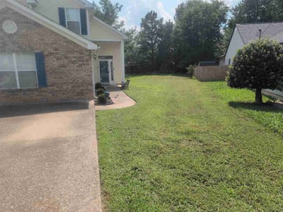 Lawn Care service in Ashland City, 37015