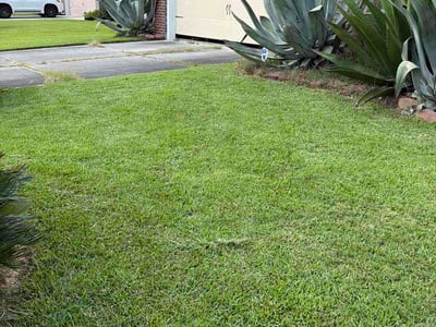 Lawn Care service in Shallotte, 28470