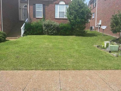 Lawn Care service in Antioch, 37013