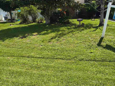 Lawn Care service in Rochester, 03867