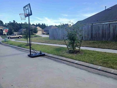 Lawn Care service in New Bedford, 02740